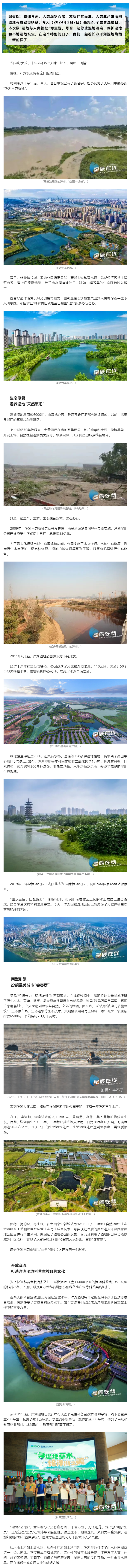 2024世界濕地日：長(zhǎng)沙洋湖濕地，詩(shī)意里的棲息勝地.png