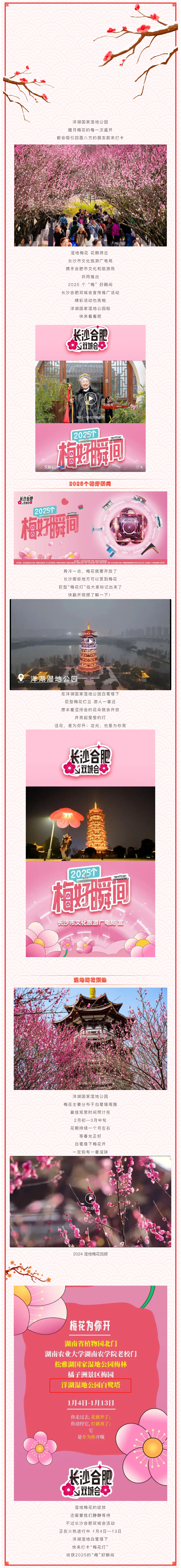 2025個梅好瞬間！打卡“梅花燈”，靜候洋湖濕地梅花開.png